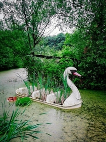Abandoned swan ride