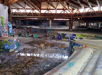 Abandoned swimming paradise  in Berlin Germany