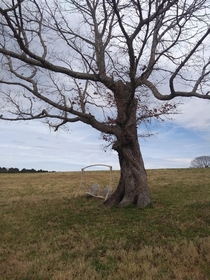 Abandoned swing in a pasture - South Carolina 