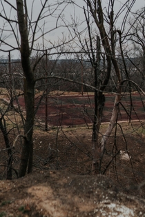 Abandoned Tennis Courts