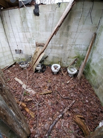Abandoned toilets in Newbern NC