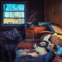 Abandoned Trailer - Like a still life painting