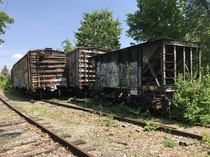 Abandoned train cars - Columbus OH