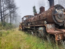Abandoned train in lithgow