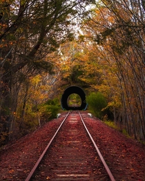 Abandoned Train Tunnel Australia