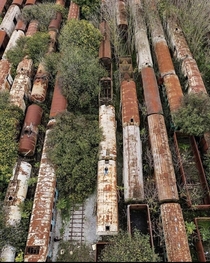 Abandoned trains in Russia