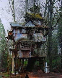 Abandoned tree house 