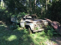 Abandoned truck in Palenque