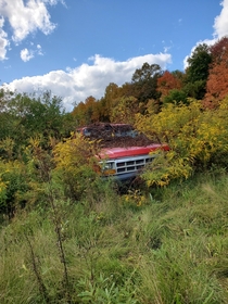 Abandoned truck in the middle of a farm