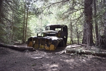 Abandoned truck in the woods 