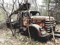 Abandoned Truck in the Woods