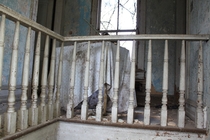 Abandoned upstairs Bannister and tea trolley 