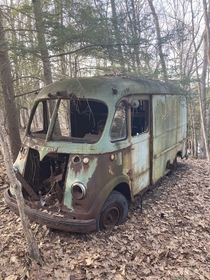 Abandoned van in the woods in upstate NY