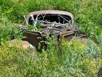 Abandoned vehicle along Porcupine Creek Nashua MT