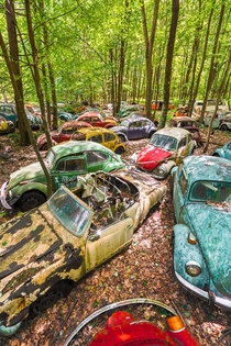 Abandoned Volkswagen graveyard hidden in the forest 