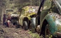 Abandoned volkswagens unknown location 