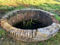 Abandoned waterhole I found while walking through a gigantic olive grove Alqueva Portugal