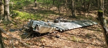 Abandoned wing of crashed P Mustang in the Monadnock region of New Hampshire 