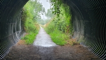 Abondoned railyway tunnel england