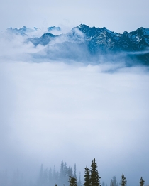 Above the clouds in Olympic National Park Washington State 