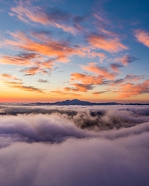 Above the Clouds in the Oakland Hills 