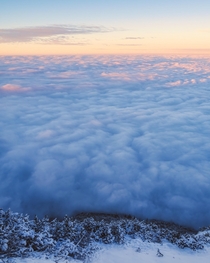 Above the sea of fog with its gyri Southern Germany at sunset 