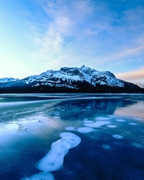 Abraham Lake Canada  x