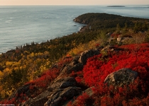 Acadia National Park Bar Harbor Maine  Check out my other photos on IG saundersdvm
