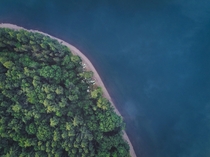Aerial shot of water meeting forest at the Ashokan Reservoir 