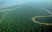 Aerial view of the Amazon Rainforest  xpost from rJunglePorn