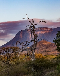 African vista The Great Drakensburg Escarpment Limpopo South Africa 