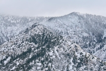 After the storm in Mt Baldy California 