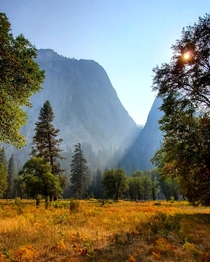 Afternoon in Yosemite Valley Yosemite National Park  x