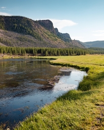 Afternoon light on the Madison River Yellowstone NP WY 