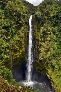 Akaka Falls Hawaii 