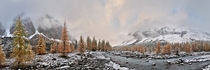 Aktru River with Altai Mountains in the background Russia 