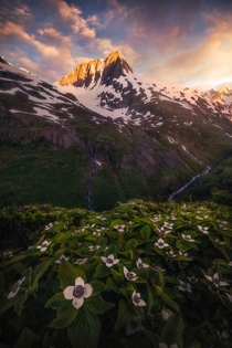 Alaska is one of the most beautiful places in the world and my favorite because of an abundance of views just like this one Chugach National Forest AK  mattymeis