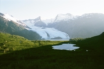 Alaskan Glacier in the Summer  x  
