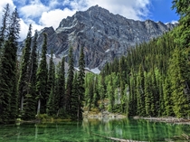 Alberta in July - Arnica Lake Trail OC 