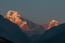 Alpenglow Himalaya 