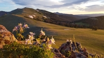Alpenglow on the Continental Divide Rawah Wilderness Colorado 