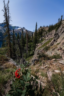 Alpine Afternoon in the Mission Mountains Wilderness Montana 