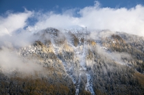 Alpine Mist France 