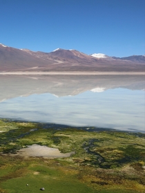 Altiplano Bolivia  x  