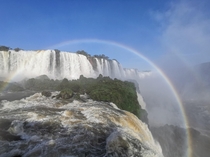 Amazing Iguaz OC 