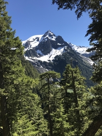 Amazing views along the Hoh River Trail Olympic National Park WA 