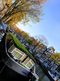 Amsterdam Fall 