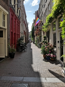 Amsterdam street in the sunshine