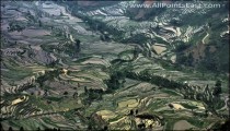 Amzing rice terraces in Yaunyang China 