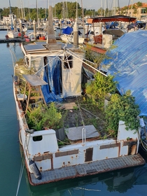 An abandoned boat in a marina